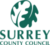 Staines Library Hub Logo