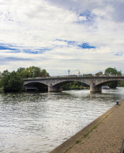 Staines Survey